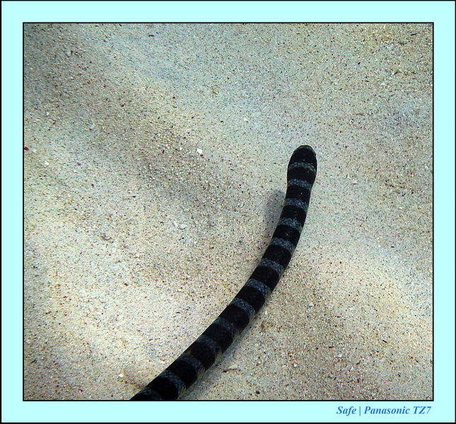 2012 - 07 - Apoh Island 14